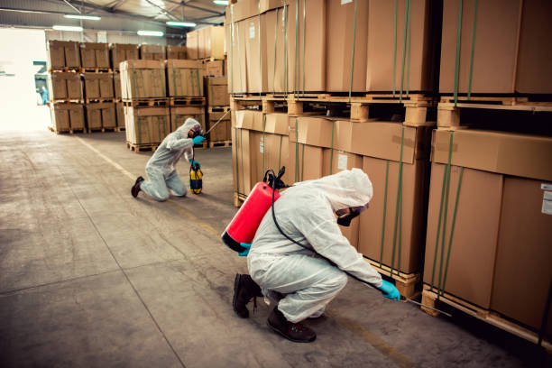 Best Pest Inspection Near Me  in New Iberia, LA