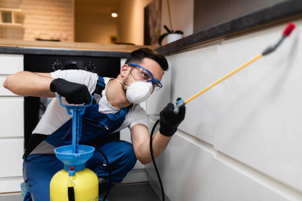 Best Best Pest Control Companies  in New Iberia, LA