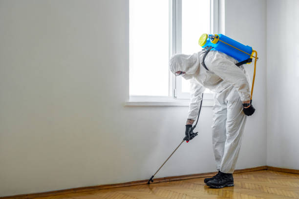 Best Affordable Pest Control Services  in New Iberia, LA