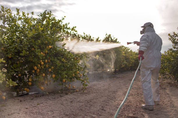 Best Pest Control Treatment  in New Iberia, LA