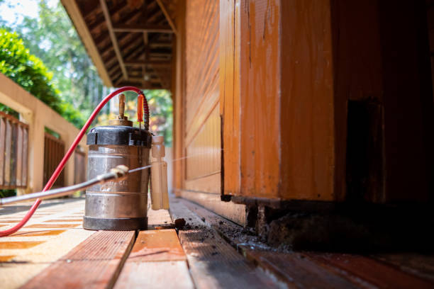 Best Pest Prevention Services  in New Iberia, LA