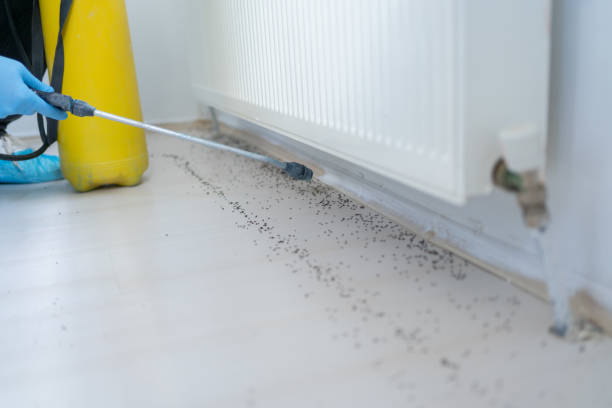 Best Residential Pest Control  in New Iberia, LA