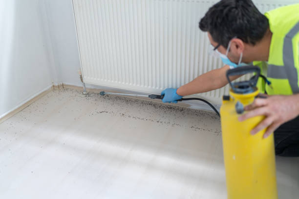 Best Emergency Pest Control  in New Iberia, LA