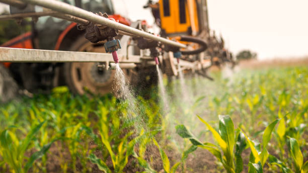 Best Commercial Pest Control Services  in New Iberia, LA
